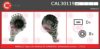 CASCO CAL30119AS Alternator